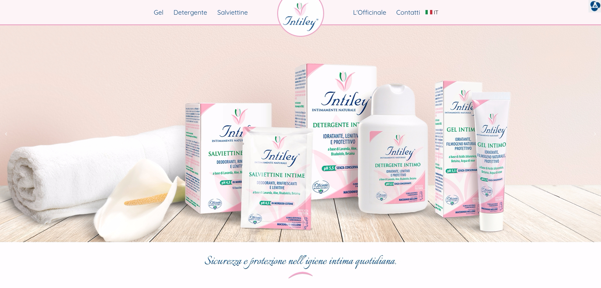 Intiley Desktop Home 1