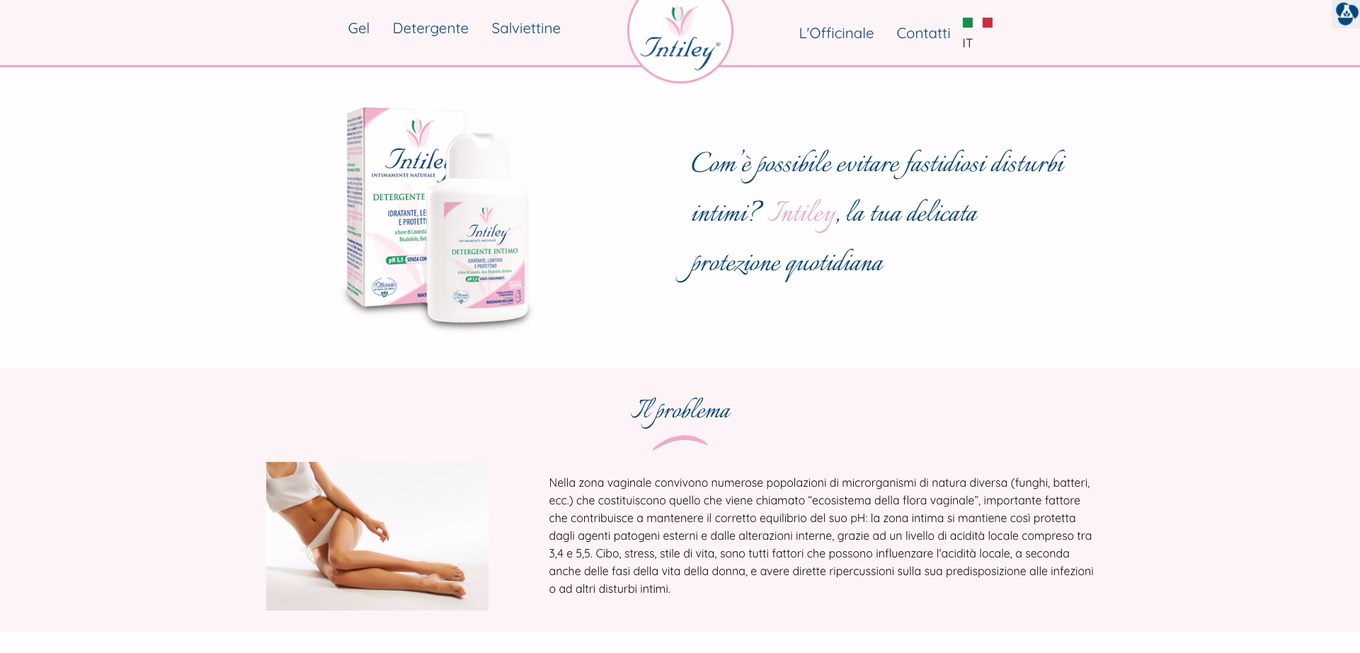 Intiley Desktop Home 2