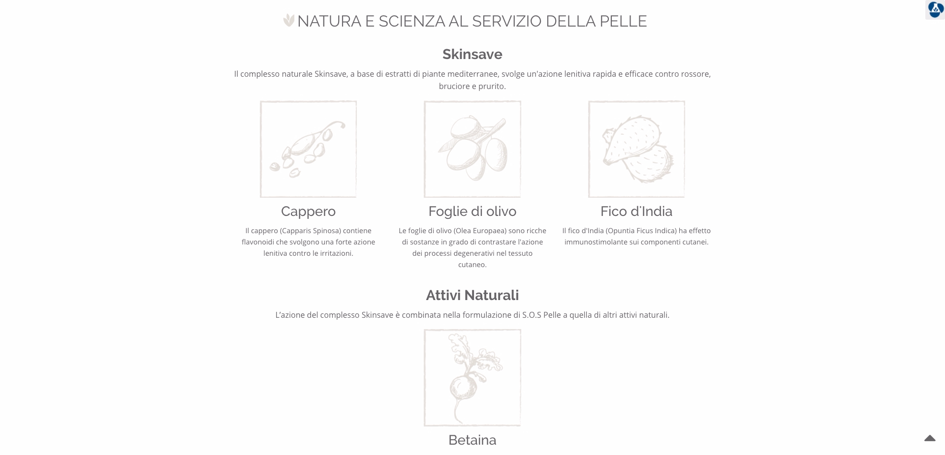 SOS Desktop Prodotto 2
