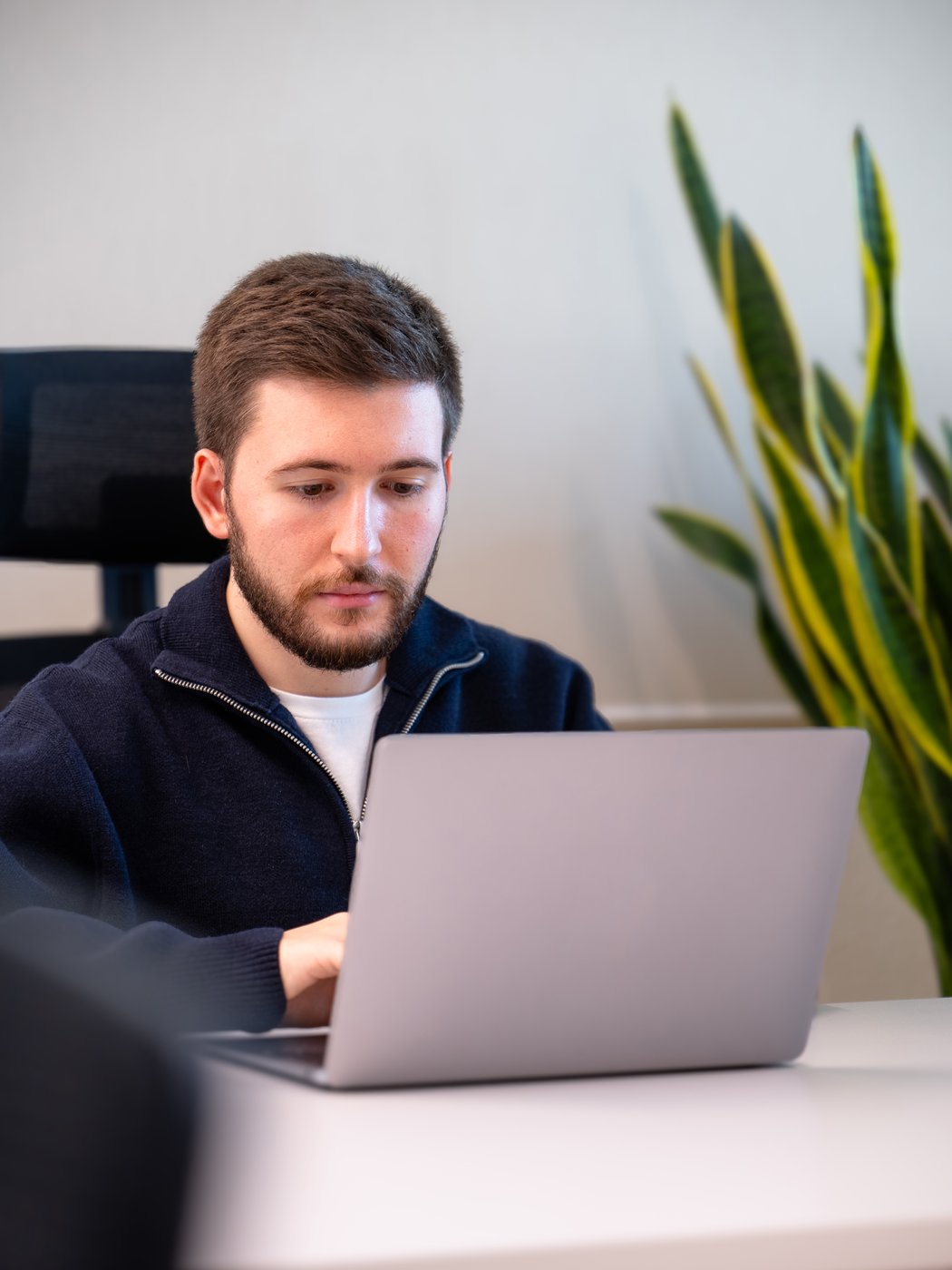 Giovane uomo con barba usa un laptop in ufficio, con pianta sullo sfondo.