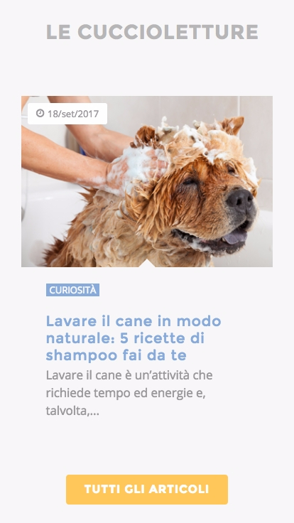 Cuccioletti Mobile Home 3