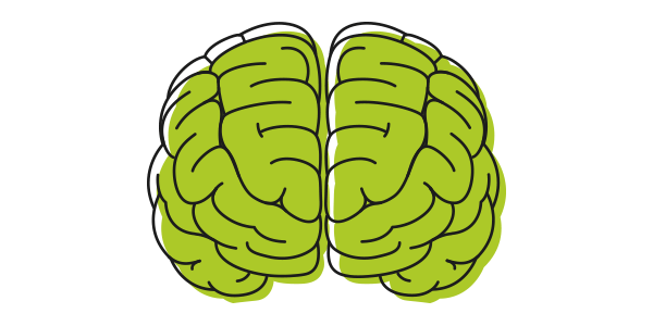 i nostri cervelli