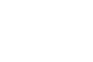 elen-laser-logo